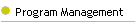 Program Management